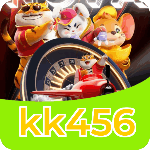 Interface kk456